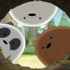 Tổng hợp ảnh avatar gấu trắng cute đáng yêu cho năm 2026