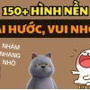 Top Hình Nền Máy Tính Meme Cực Chất 2026