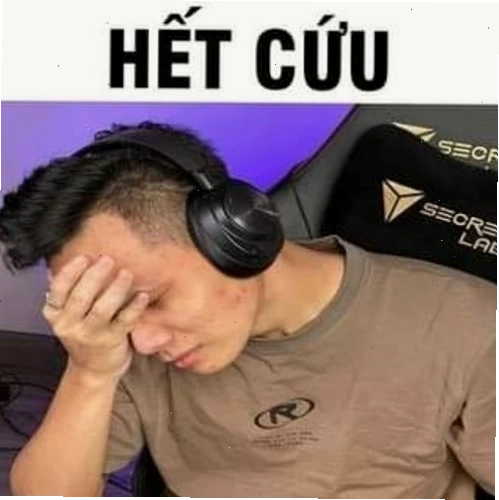 Ảnh hết cứu hài hước từ thú cưng