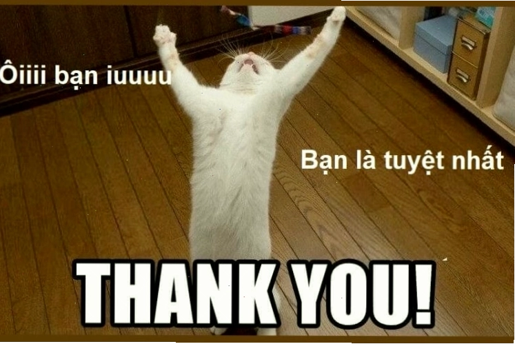 Ảnh meme cảm ơn với phong cách cổ trang hài hước