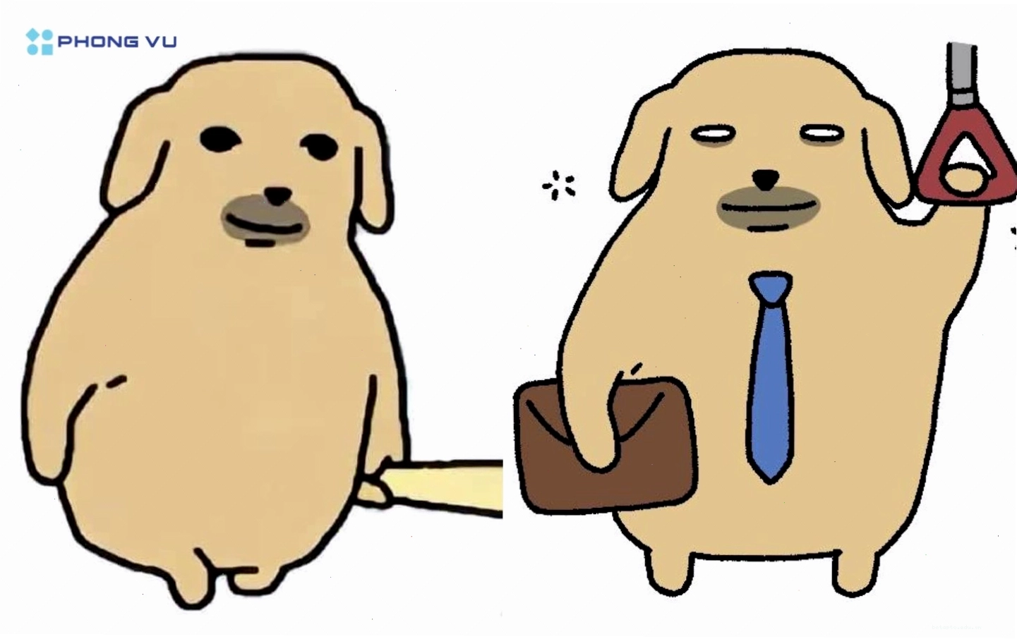 Ảnh meme con chó Nudaeng biểu cảm hài hước