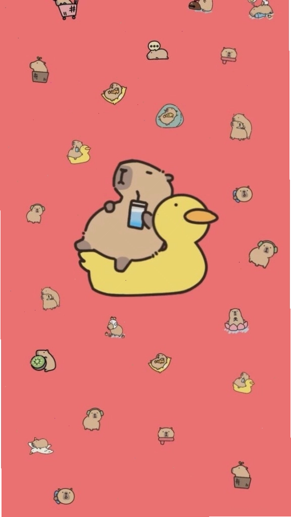 Capybara thư giãn trên phao vịt
