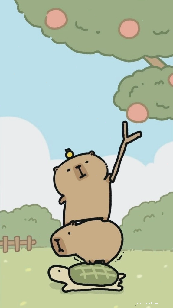 Capybara xếp chồng lên rùa