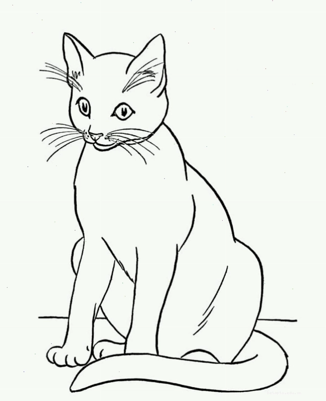 Con mèo ngồi tô màu đơn giản cho bé