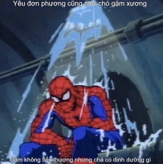 Hài hước meme spiderman phiên bản mới