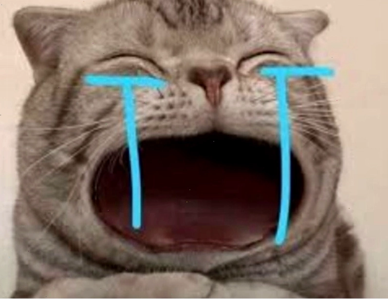 Hình ảnh meme khóc với động vật ngộ nghĩnh