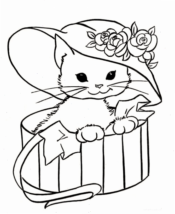 Hình con mèo cute tô màu với đôi mắt to tròn