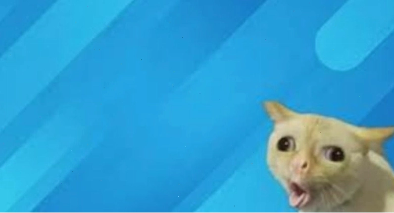 Hình nền máy tính meme hài hước