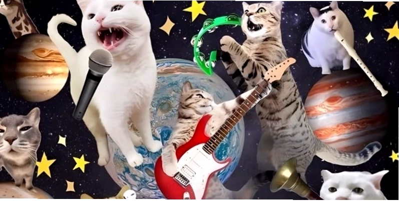 Hình nền máy tính meme phong cách tối giản