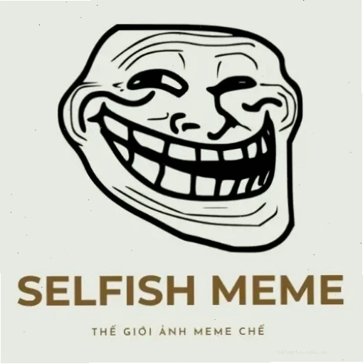 Logo The Selfish Meme