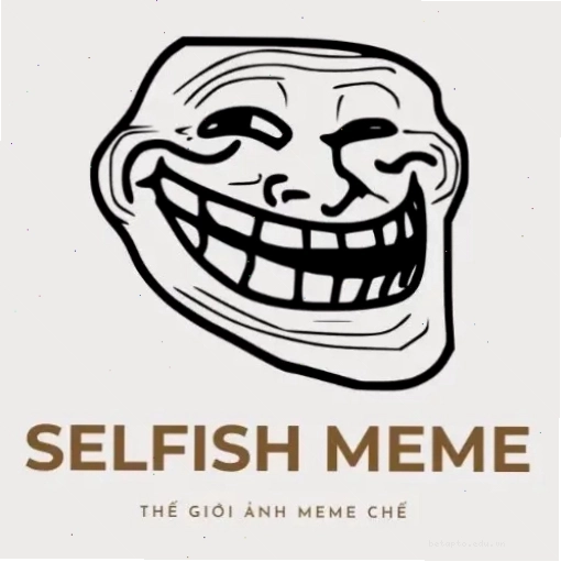 Logo The Selfish Meme - Nguồn cảm hứng cho trào lưu meme thẻ bài
