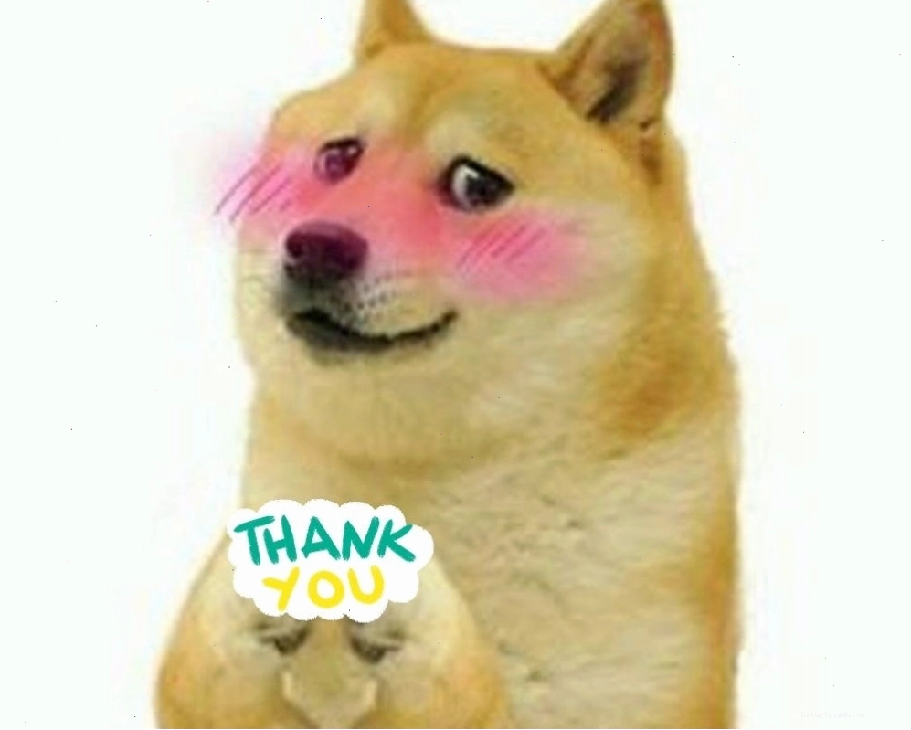 Meme cảm ơn với hình ảnh chú chó đáng yêu
