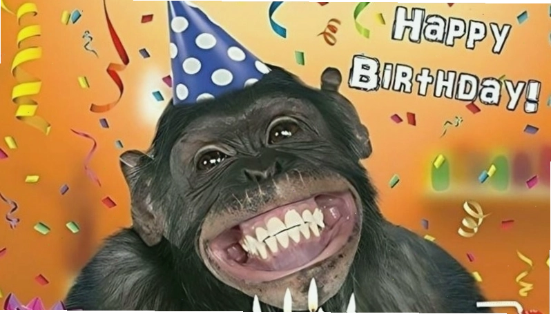 Meme chúc mừng sinh nhật thể hiện ý nghĩa đặc biệt