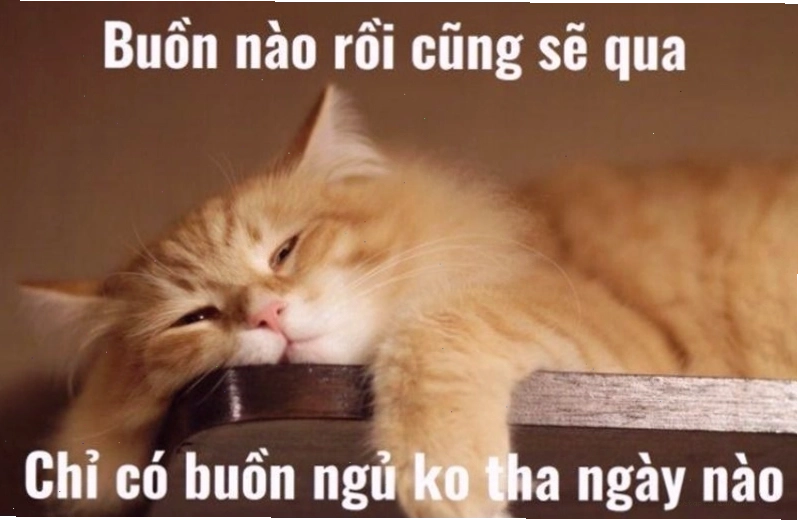 Meme chúc ngủ ngon hài hước với nhân vật biểu cảm lạ