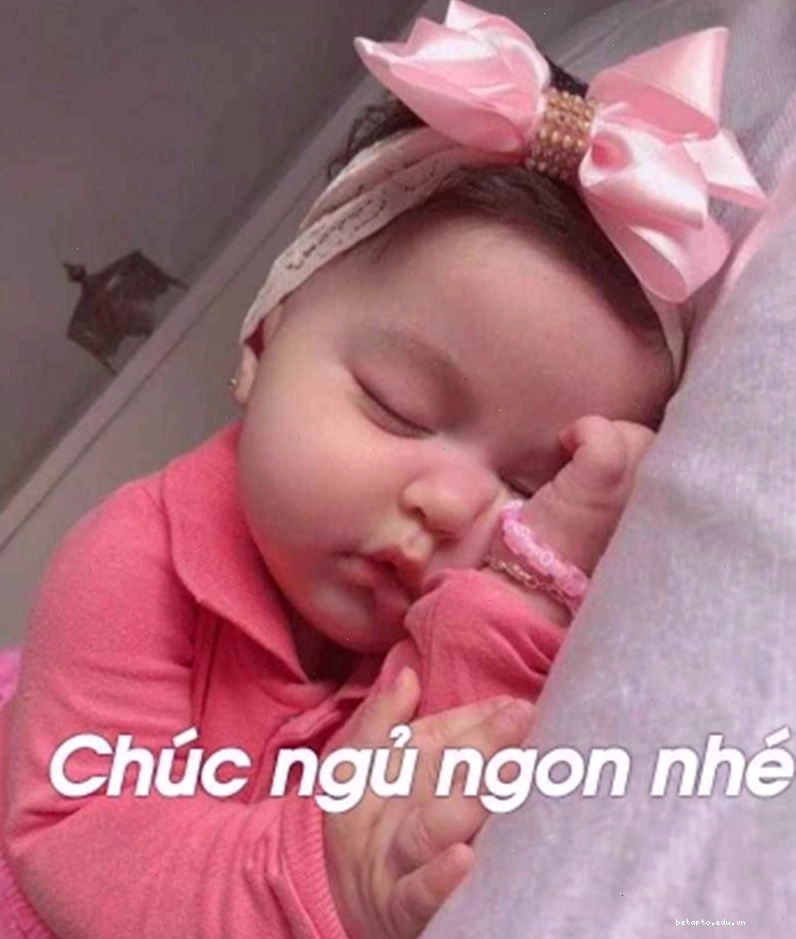 Meme động vật dễ thương chúc ngủ ngon