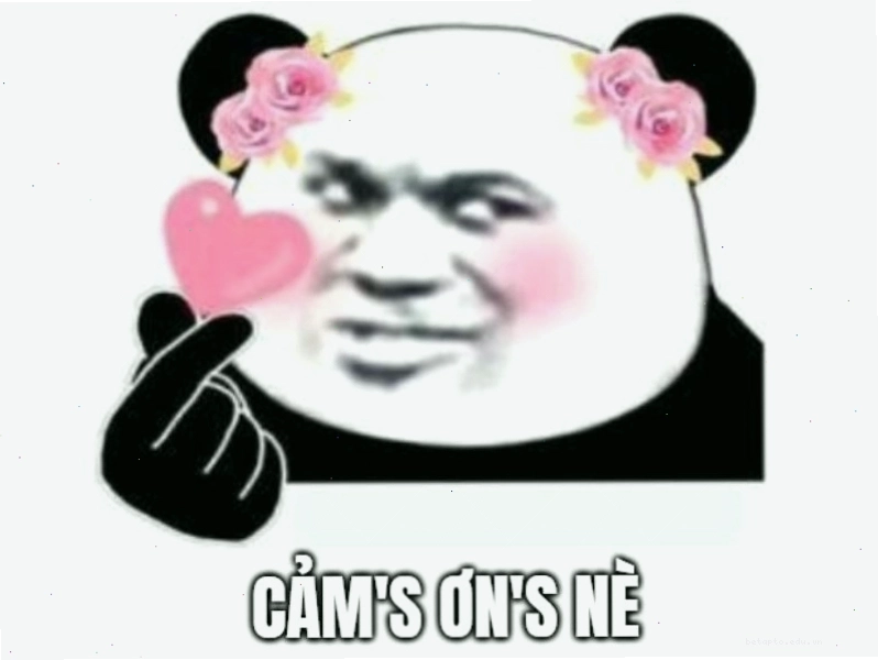 Meme gấu trúc thả tim thể hiện sự cảm ơn nồng nhiệt