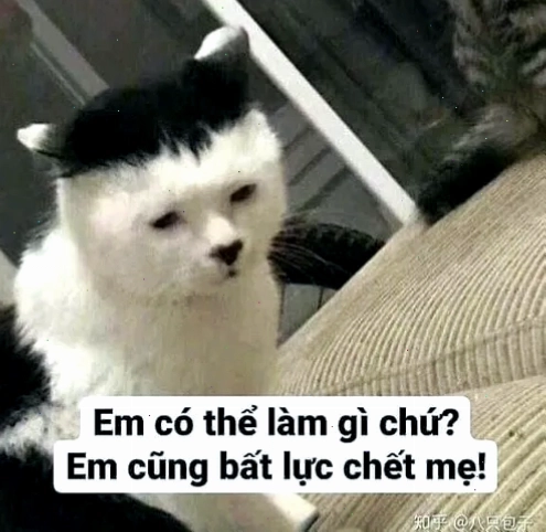 Meme gương mặt thất vọng cực rõ sau chuyện không như ý