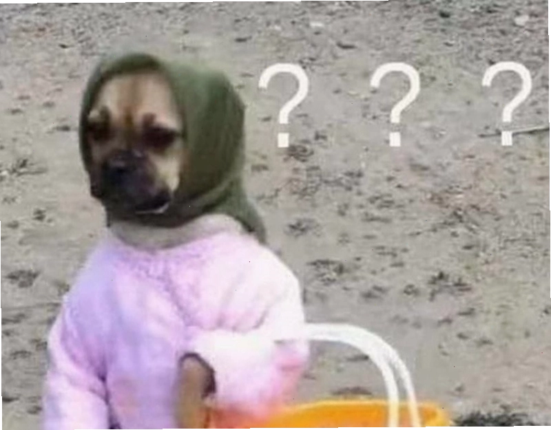 Meme hỏi chấm hài hước gây cười