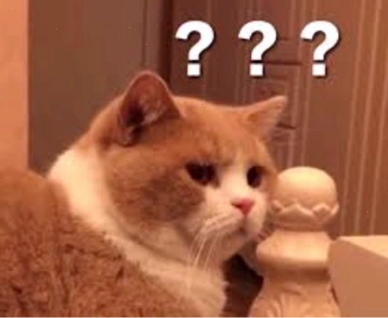 Meme hỏi chấm hình mèo dễ thương