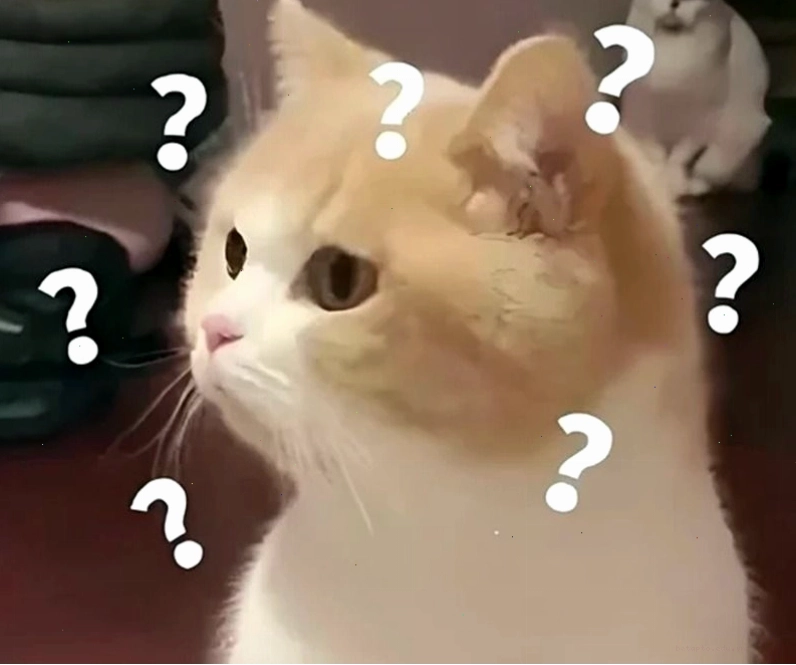 Meme hỏi chấm hình mèo dễ thương