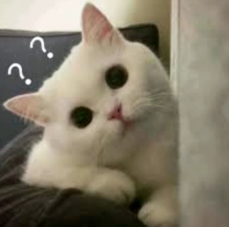 Meme hỏi chấm hình mèo dễ thương