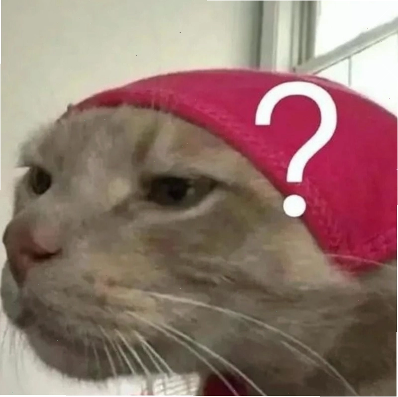 Meme hỏi chấm hình mèo dễ thương