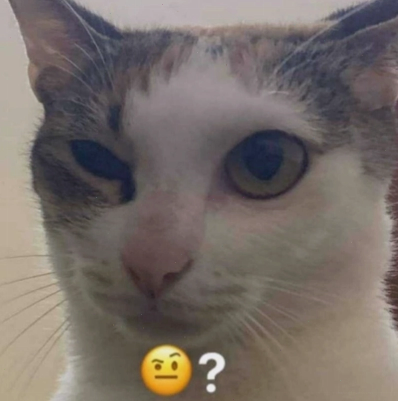 Meme hỏi chấm hình mèo dễ thương