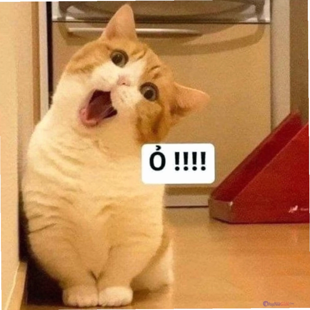 Meme mèo thể hiện sự vượt trội trước chó