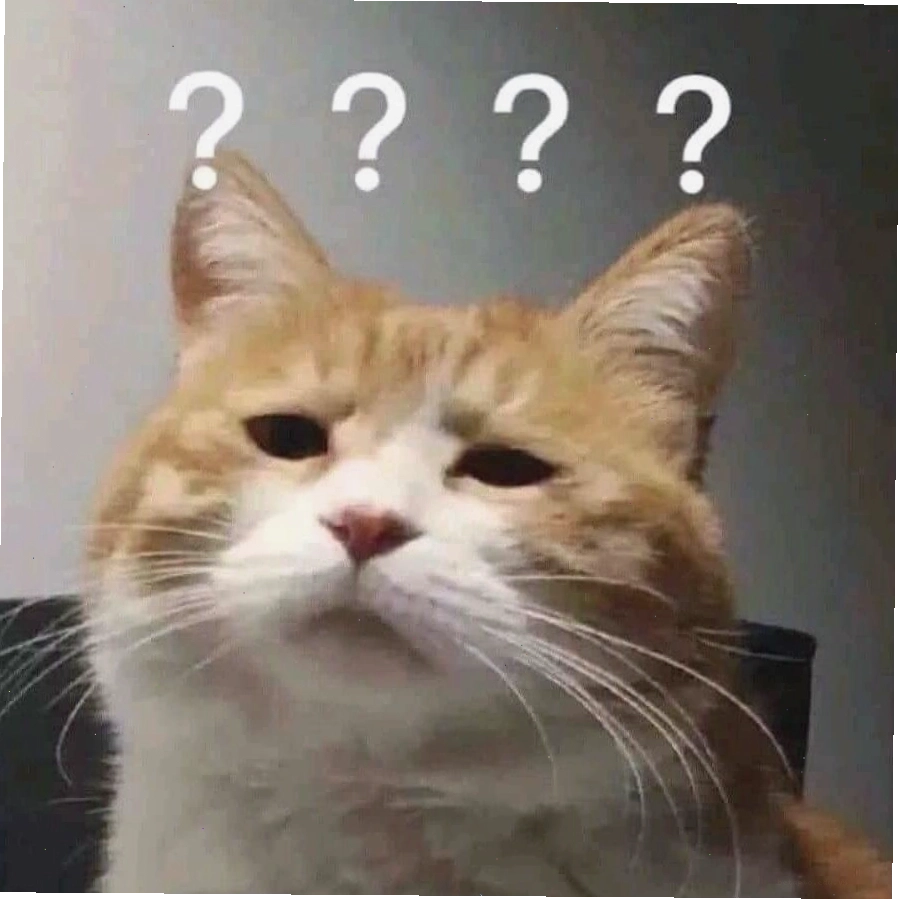 Meme mèo với biểu cảm ngạc nhiên