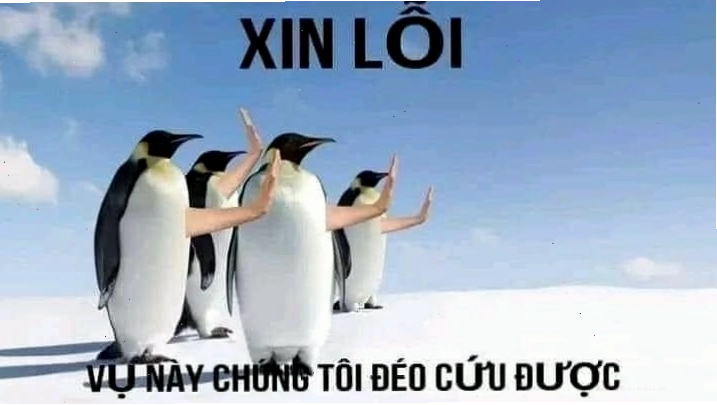 Meme nghỉ cứu hài hước