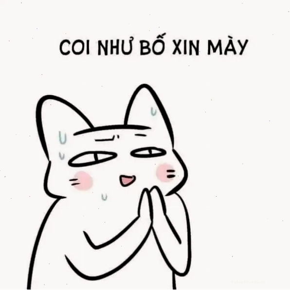 Meme quỳ lạy van xin cực hài hước trong tình huống khẩn cấp