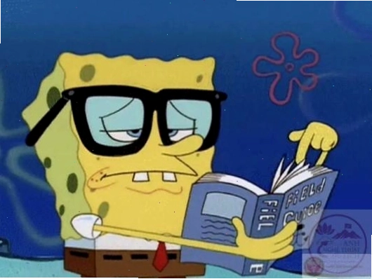 Meme Spongebob lan truyền mạnh mẽ trên mạng xã hội
