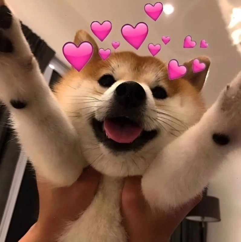 Meme tình yêu ngọt ngào với hình ảnh cặp đôi