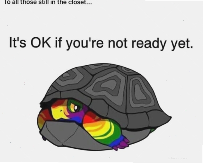Meme về sự công nhận LGBT