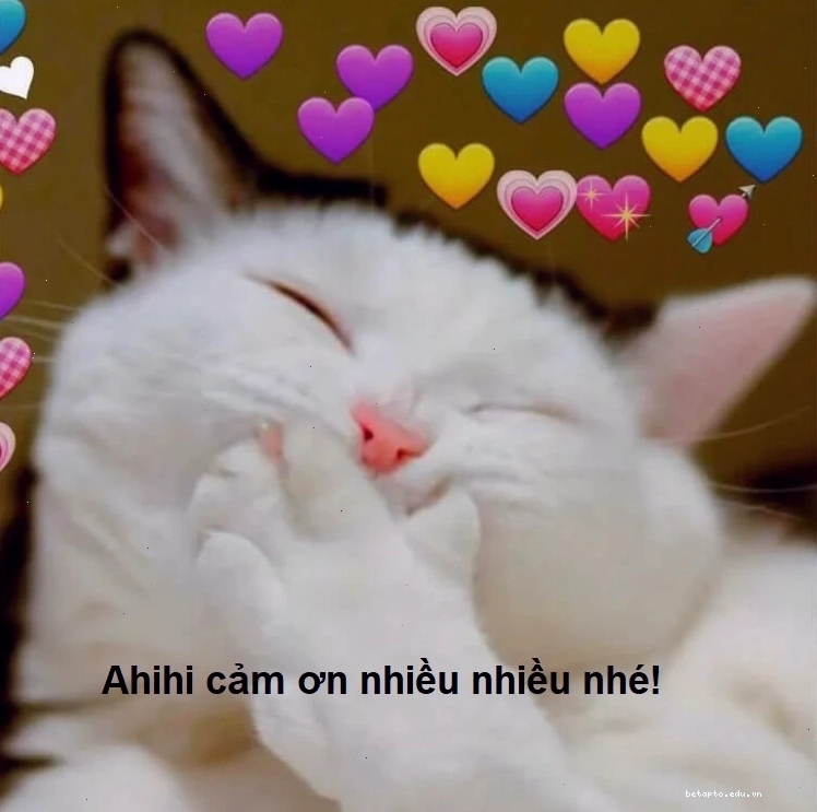 Meme với lời nhắn xin cảm ơn hài hước và sáng tạo