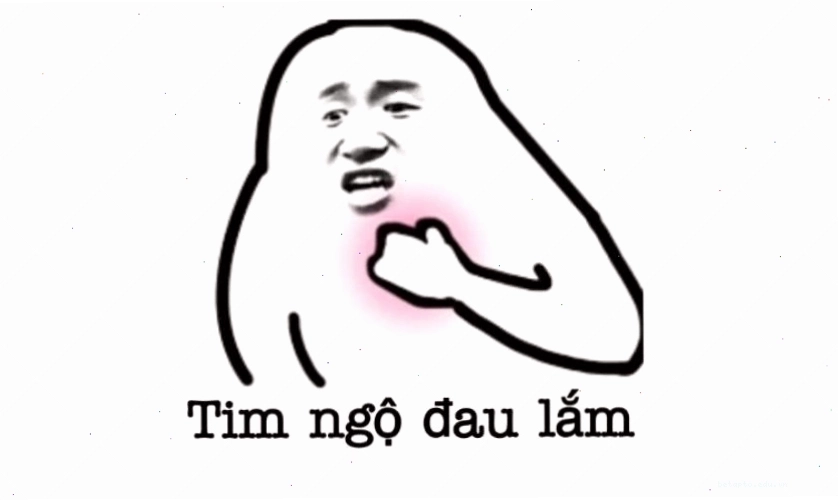 Mèo bựa với biểu cảm hài hước