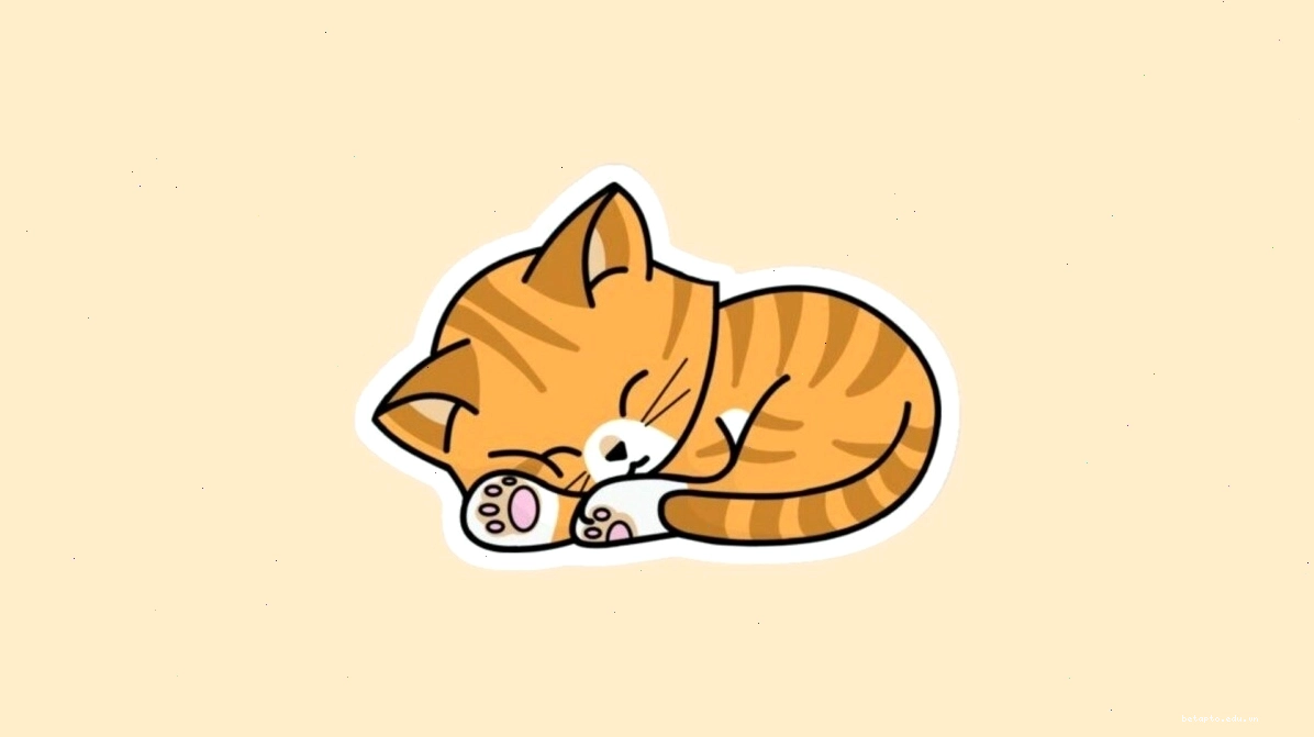 Mèo chibi đang ngủ say sưa