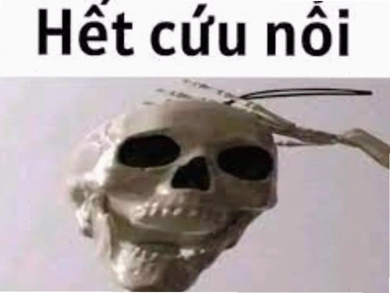 Nguồn gốc meme hết cứu