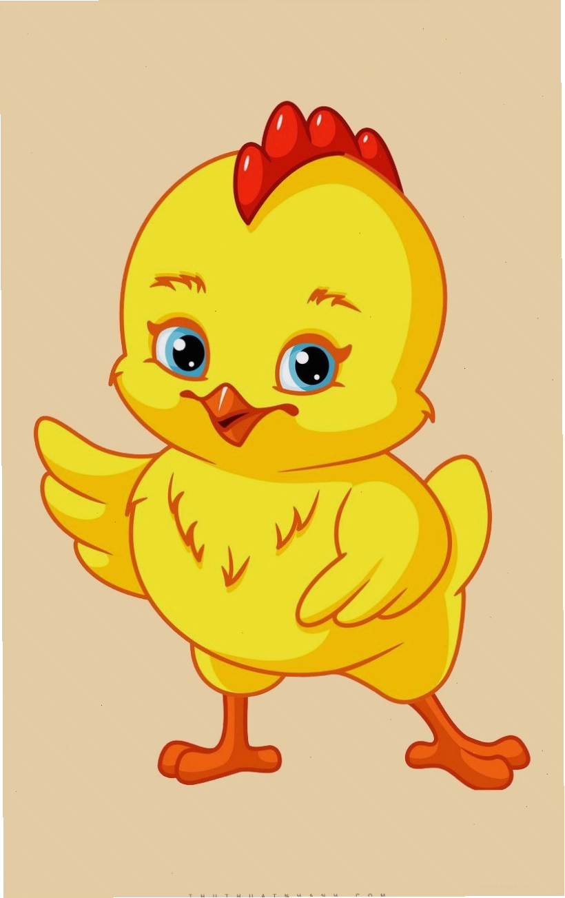 Những chú gà con dễ thương khoe sắc