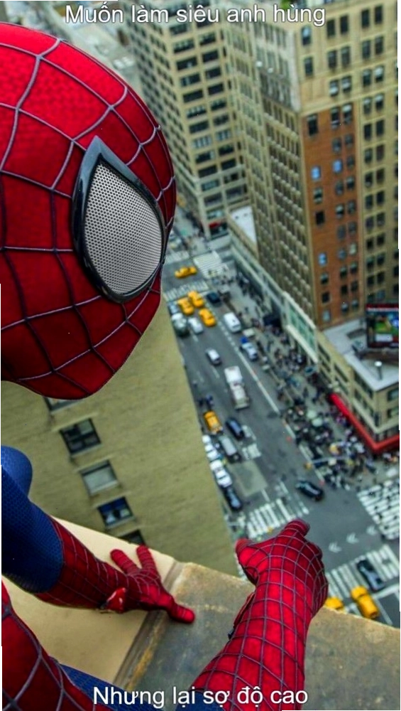 Spider man siêu nhân anh hùng trong meme