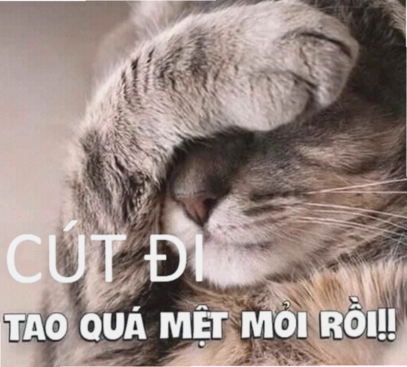Tìm hiểu sức hút của meme cút trong văn hóa mạng