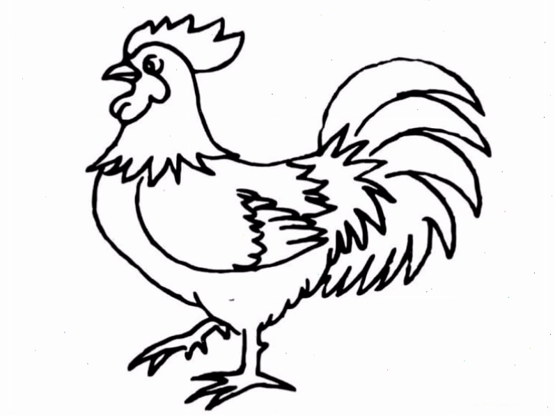 Tranh tô màu ngựa vằn