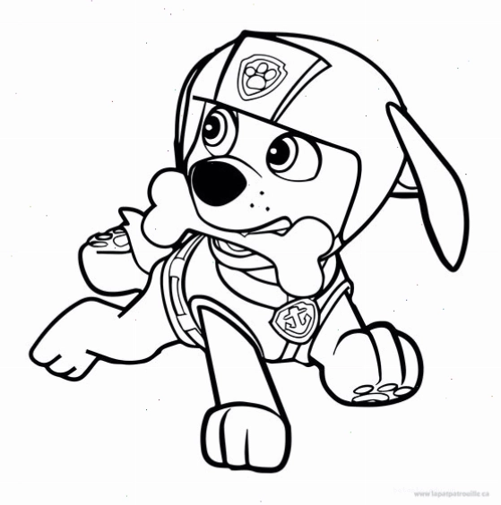 Tranh tô màu Skye, cô chó phi công Paw Patrol đáng yêu