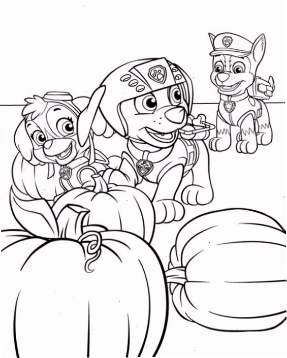 Tranh tô màu tất cả các thành viên đội chó cứu hộ Paw Patrol