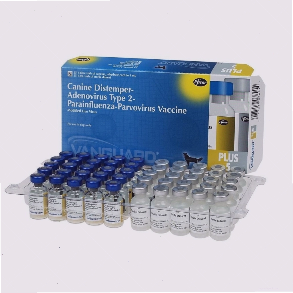 Vắc xin Vanguard của Zoetis dành cho chó