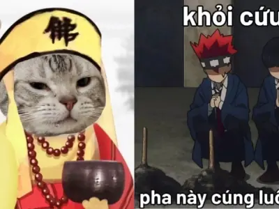 Tổng hợp những ảnh avatar hài hước nhất khiến bạn bật cười