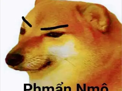 Xem ngay ảnh Cheems meme chế hài khiến dân mạng thích thú
