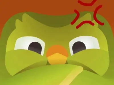 Bộ sưu tập ảnh Duolingo Meme khiến dân mạng phát cuồng