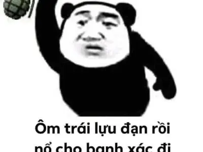 Ảnh meme gấu trúc bựa hài hước khiến bạn cười xỉu