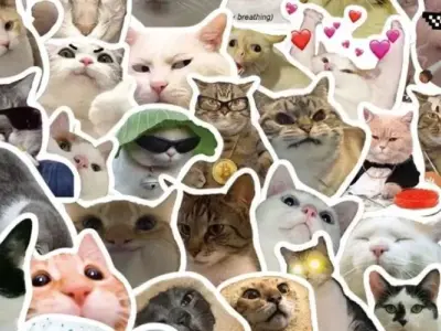 Tổng hợp ảnh hình nền meme hot trend khiến bạn cười xỉu